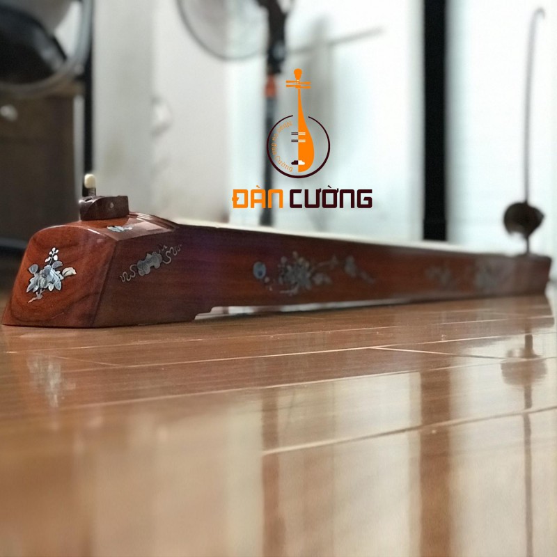 ĐÀN BẦU GIÁ RẺ