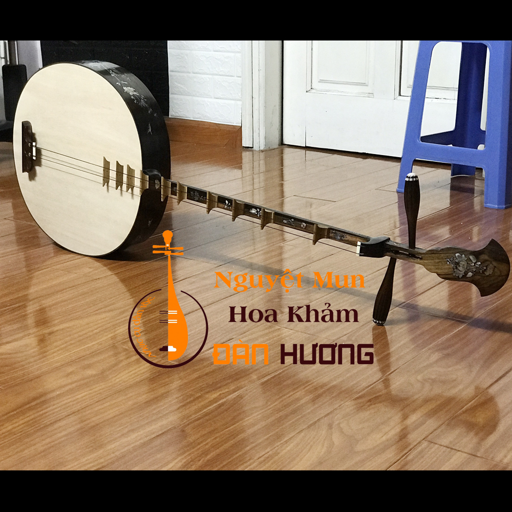 10 Lợi Ích Khi Chơi Đàn Nguyệt Không Phải Ai Cũng Biết
