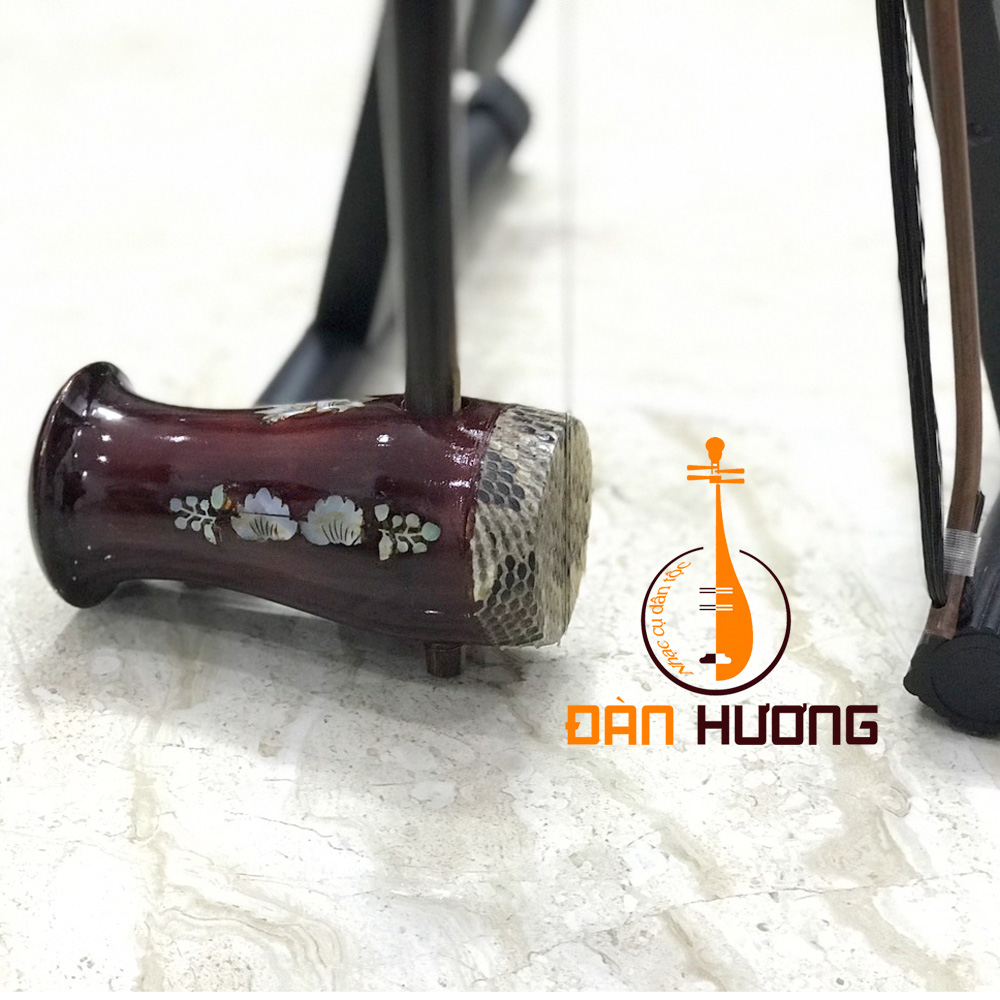 Đàn Nhị nh59 dành cho người mới chơi