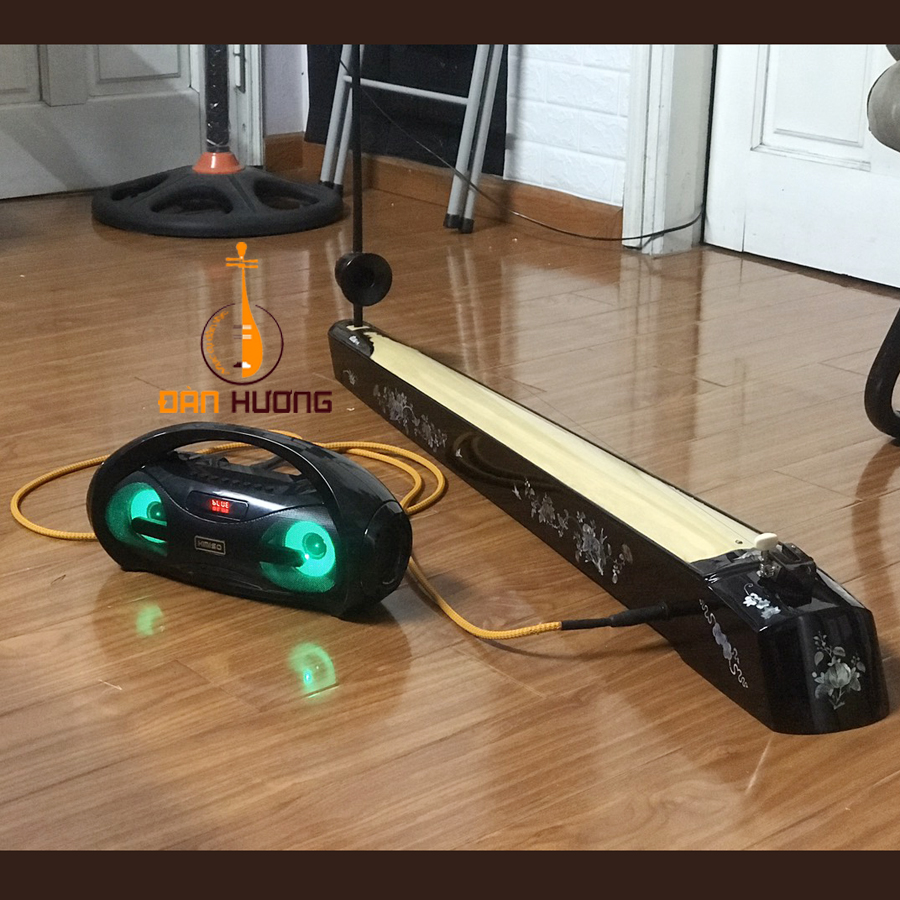 Loa Xách Tay Cho Đàn Bầu