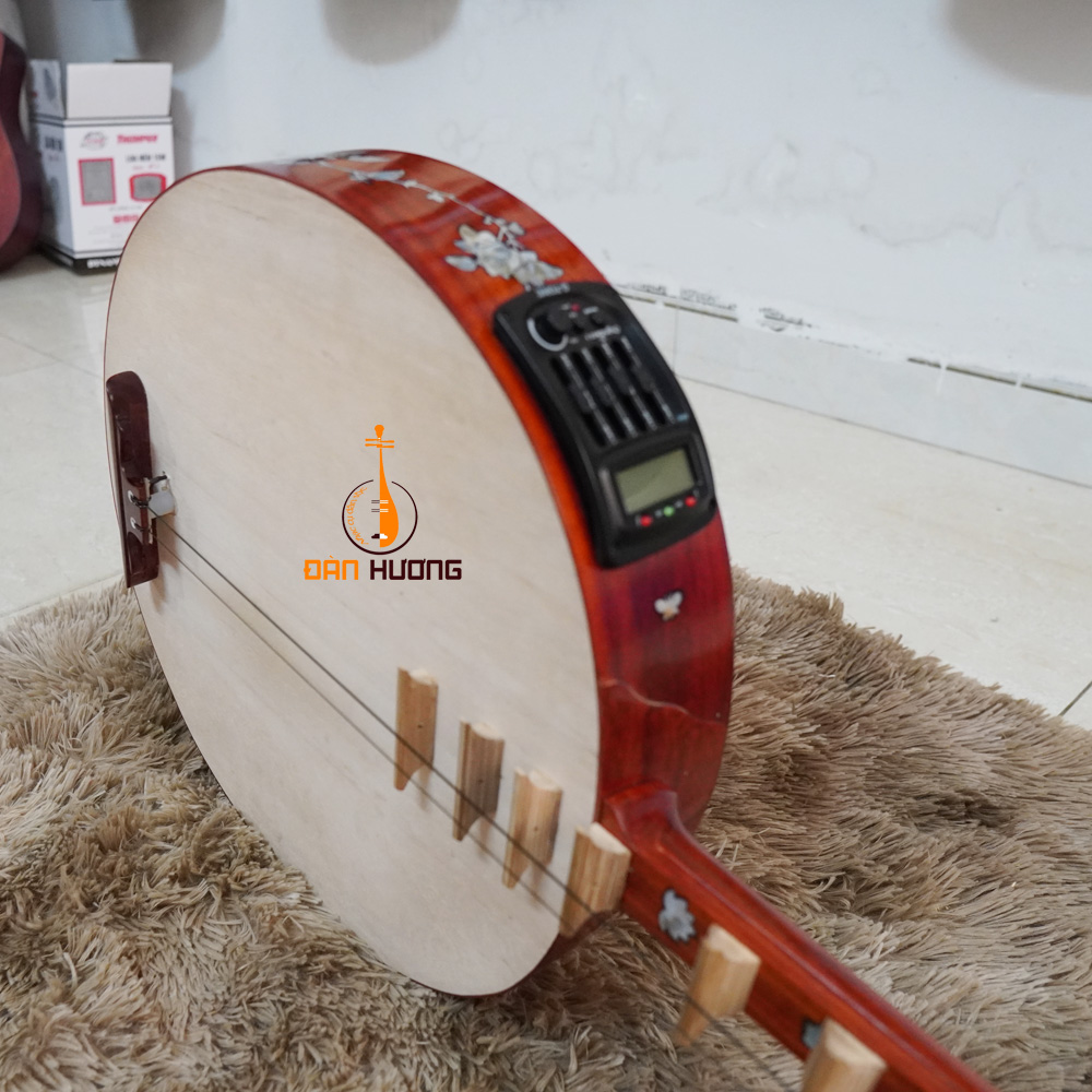 ĐÀN NGUYỆT DN189 lắp sẵn EQ