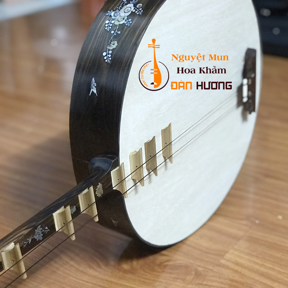 ĐÀN NGUYỆT BIỂU DIỄN SÂN KHẤU NÊN CHỌN LOẠI NÀO?